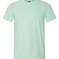 Softstyle® Lightweight T-Shirt