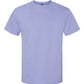 Softstyle® Midweight T-Shirt