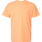 Garment-Dyed Heavyweight T-Shirt