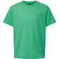 Softstyle® Youth T-Shirt