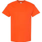 Heavy Cotton™ T-Shirt
