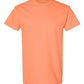 Heavy Cotton™ T-Shirt