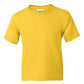 DryBlend® Youth T-Shirt