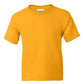 DryBlend® Youth T-Shirt