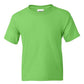 DryBlend® Youth T-Shirt
