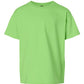 Ultra Cotton® Youth T-Shirt
