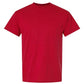 Unisex DryBlend® T-Shirt
