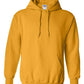 Heavy Blend™ Hooded Sweatshirt