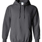 Heavy Blend™ Hooded Sweatshirt