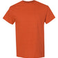 Heavy Cotton™ T-Shirt
