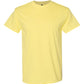 Heavy Cotton™ T-Shirt