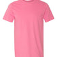Softstyle® T-Shirt