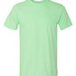 Softstyle® T-Shirt