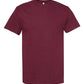 Unisex Heavyweight Cotton Tee