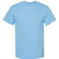 Unisex Heavyweight Cotton Tee