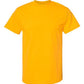 Unisex Heavyweight Cotton Tee