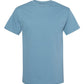 Unisex Heavyweight Cotton Tee