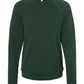 Sponge Fleece Raglan Crewneck Sweatshirt