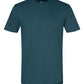 Unisex Softstyle® CVC T-Shirt